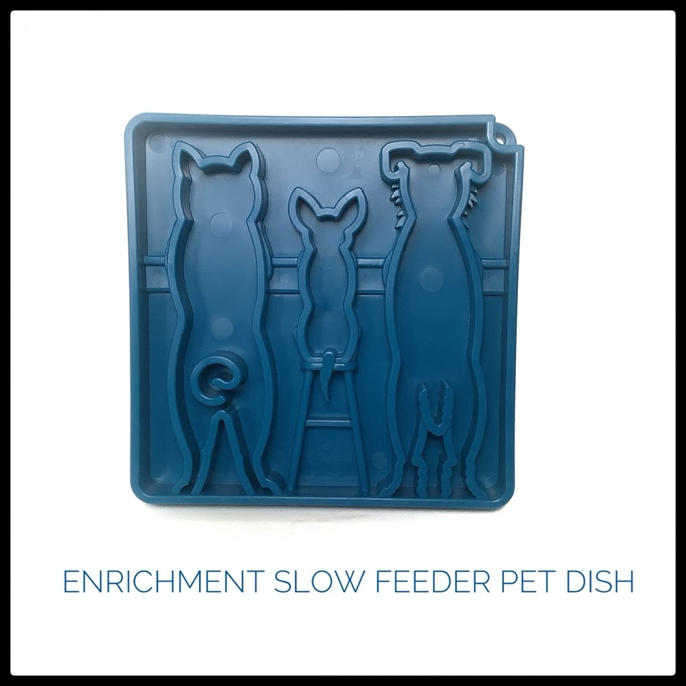 NWT Enrichment slow feed pet dish